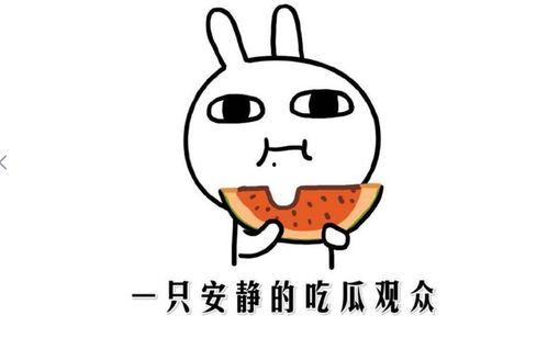 娱乐吃瓜酱如何吵架,一招制胜的口水战攻略